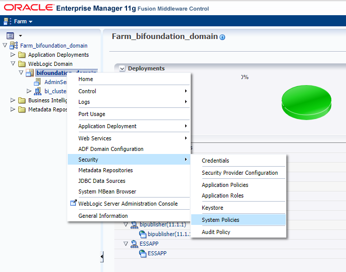 Security Issues after Patching Oracle BI Publisher 11.1.1.9.0